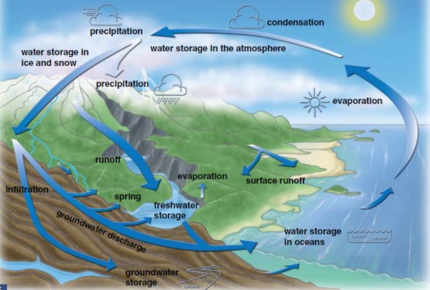 Figure 1. The water cycle: the cycle of evaporation and condensation that moves water around the Earth (Rice, 2007)