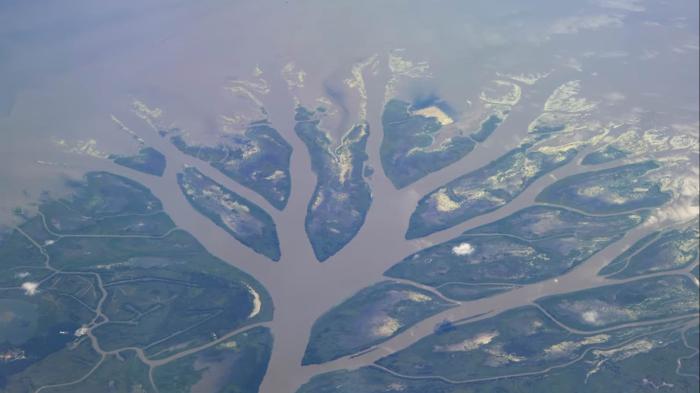 A picture of the river delta