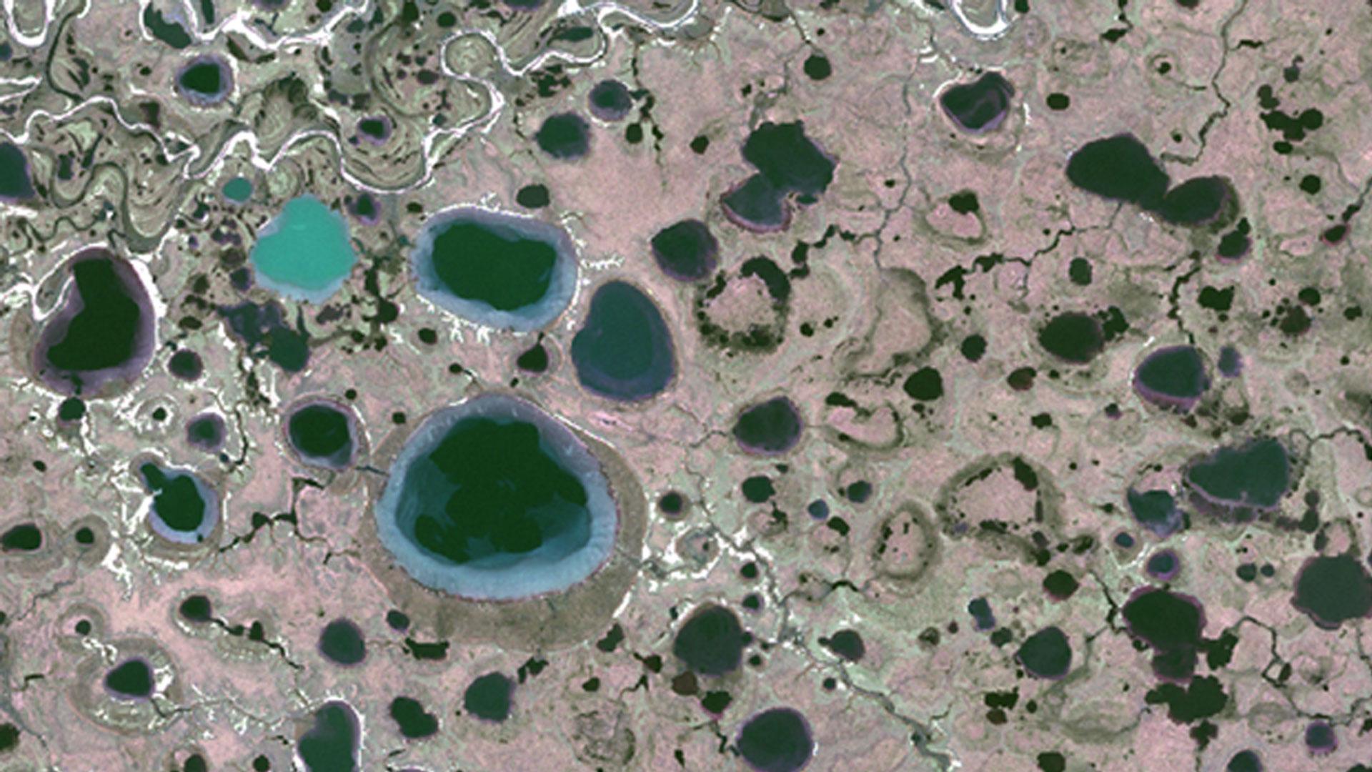 Image: Copernicus Sentinel-2 acquisition from central Yamal from summer 2017, ESA.