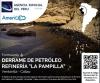 Teaser of call for action on oil spill in peru showing a coast line