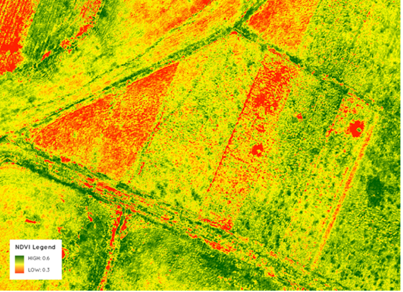 Figure 4: Another spectral index, known as the normalized difference vegetative index (NDVI) is indicative of healthy plant matter. Plants require sufficient water to grow healthily but may also imply that there is enough water within the environment to provide breeding grounds for mosquitos. (Tucker, 1979; Reich, 2016). 