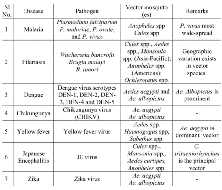 Figure 7: Mosquitos are a problematic vector because they can cause a wide variety of diseases (Boukhatem, 2017). Please note that this list is not inclusive of all mosquito-borne diseases.