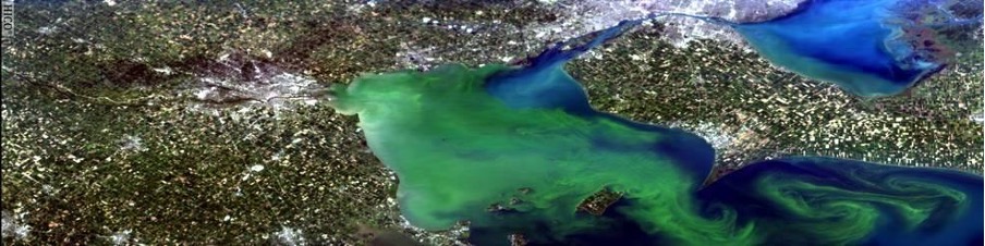 Figure 1: There have been several instances where HABs have occurred in lakes that provide drinking water such as Lake Erie (shown above), especially during warmer months (NIEHS, 2021). Image courtesy of HICO.