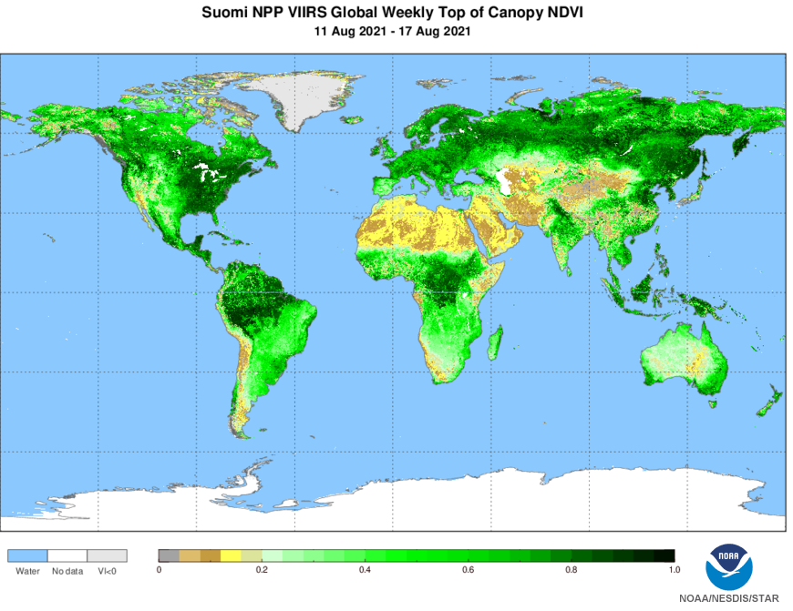 Figure 6: Top of canopy NDVI released by Joint Polar Satellite Systems (JPSS). Photo Source: JPSS (2021)