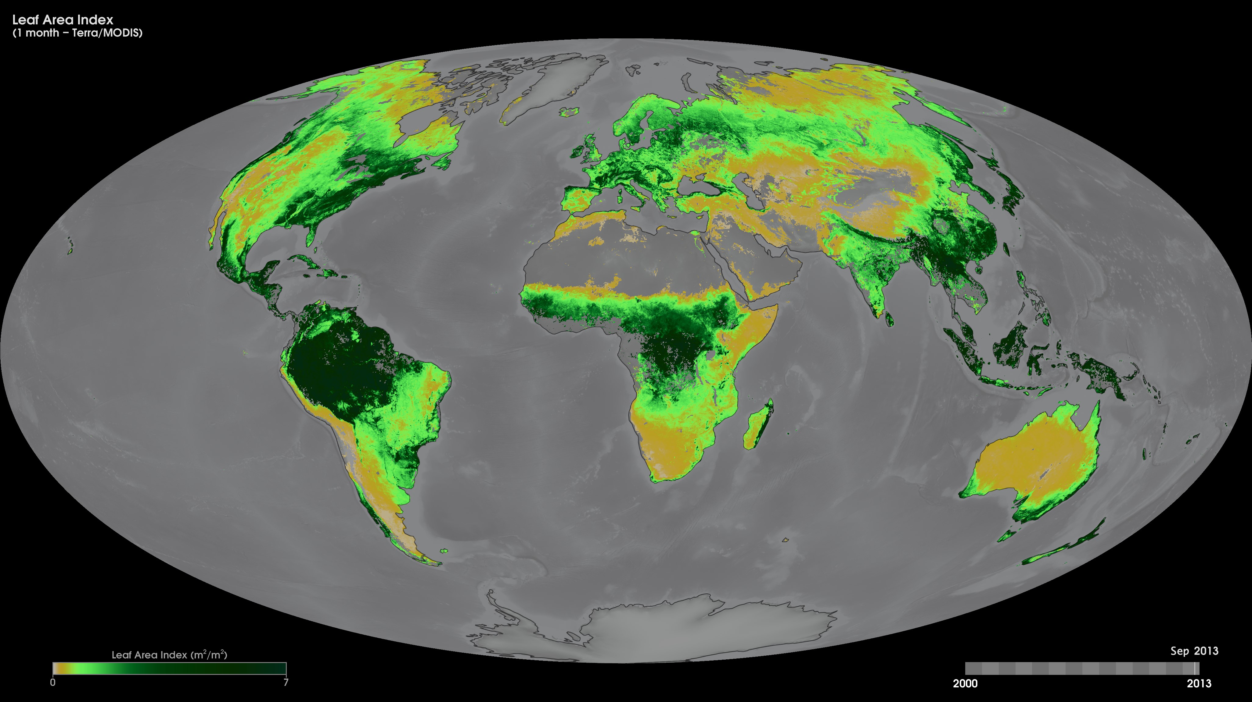 Monthly mean Leaf Area Index (LAI) for September 2013 from MODIS satellite. The animation shows monthly LAI dynamics between February 2000 and September 2013.Credit: NASA/GSFC.