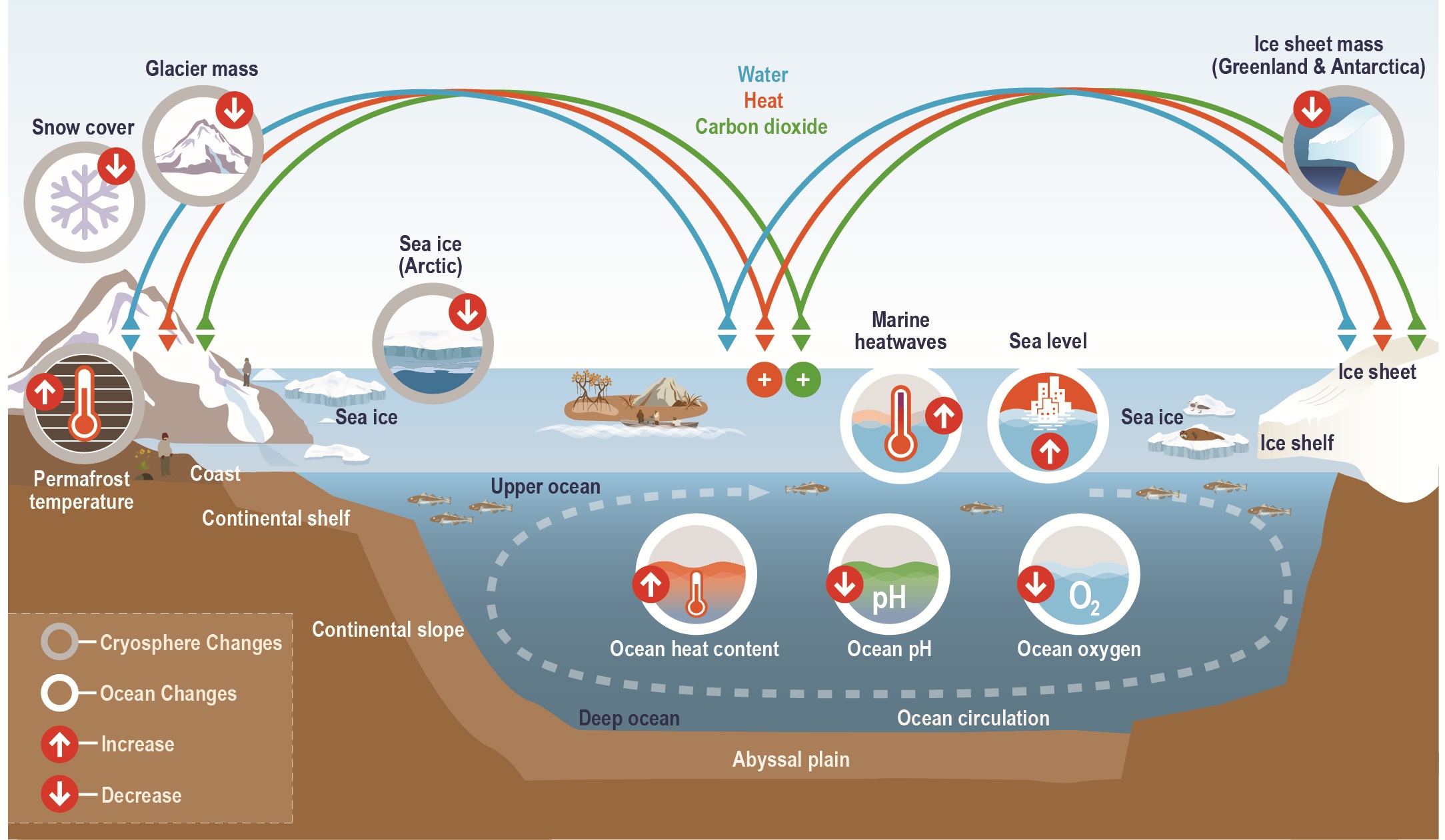 Schema showing components of ocean and cryosphere in the Earth system