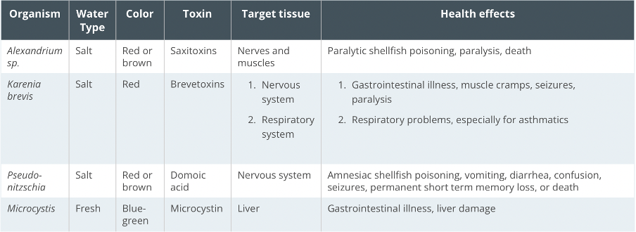 Table 1: HABs have the potential to cause detrimental effects on health including death, depending on the type of algae involved (NIEHS, 2021). Image courtesy of the NIEHS.  