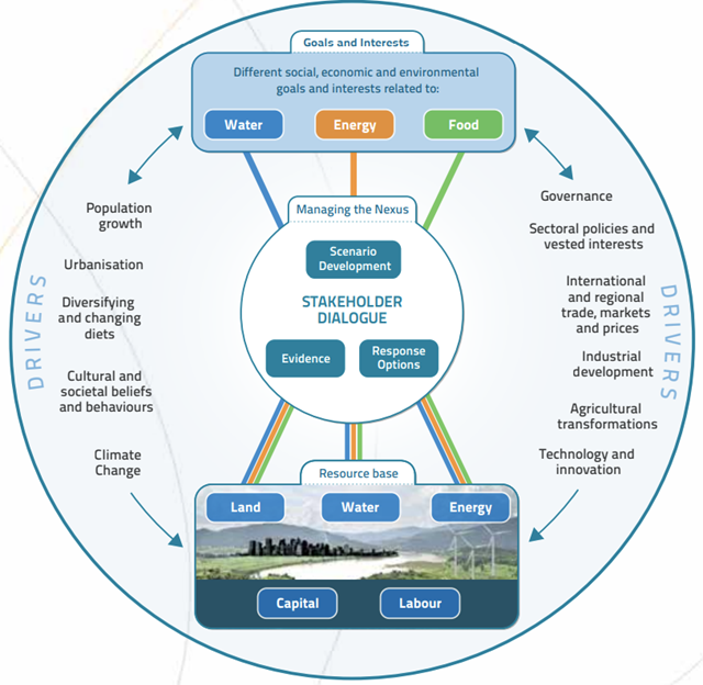 Diagram showing the drivers of the WEF Nexus