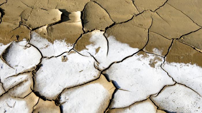  2009 World Water Day: Effects of Water Scarcity. UN Photo/Martine Perret 