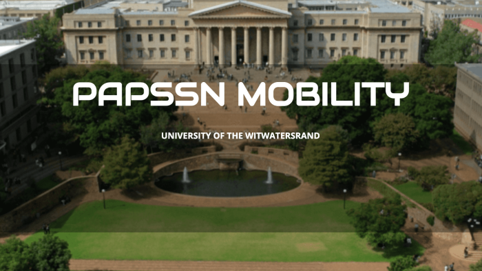 PAPSSN African partner institution - University of Witwatersrand