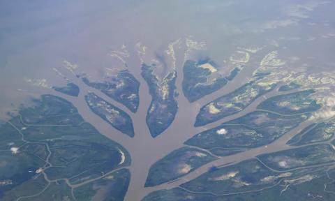 A picture of the river delta
