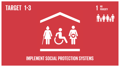 Graphic displaying social protection systems for all