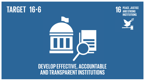 Graphic displaying the development of effective, accountable and transparent institutions 