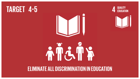 Graphic displaying the elimination of all discrimination in education 
