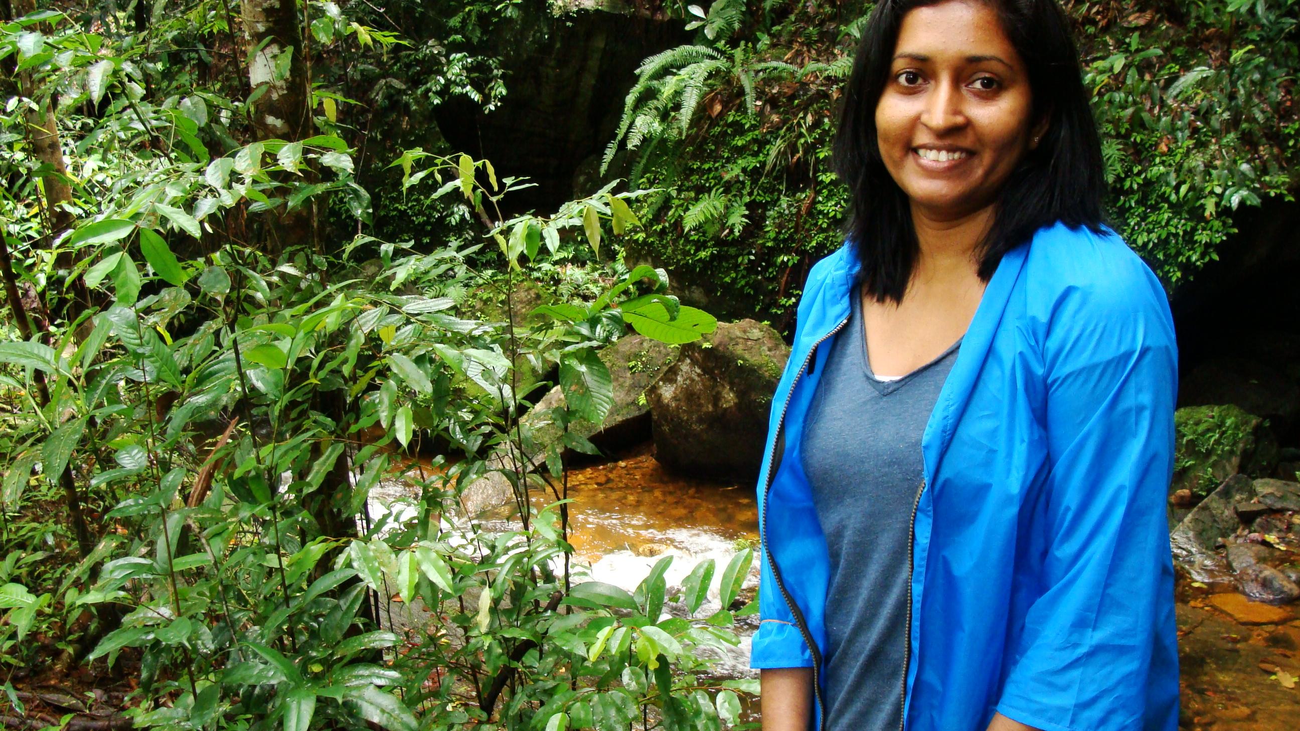 Padmi Ranasinghe doing field work at Sinharaja Evergreen rain forest