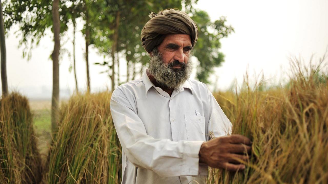 Farmer from India