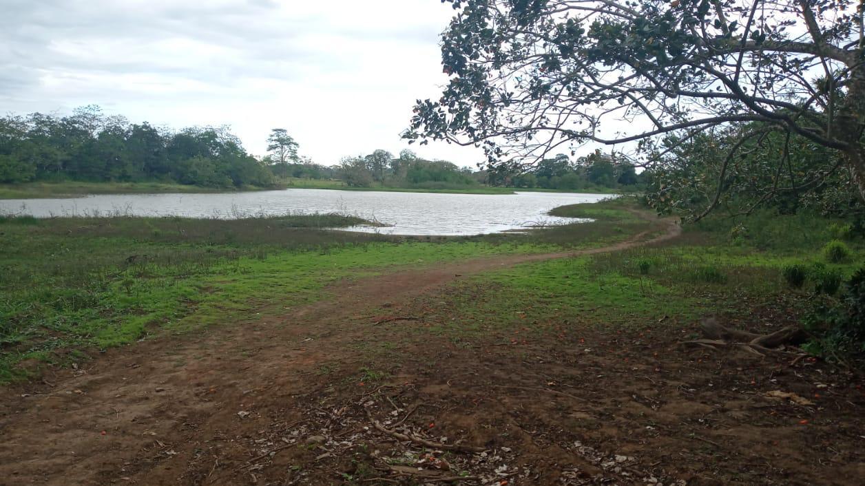 Photo of the Cano Negro Wetland by María José Molina