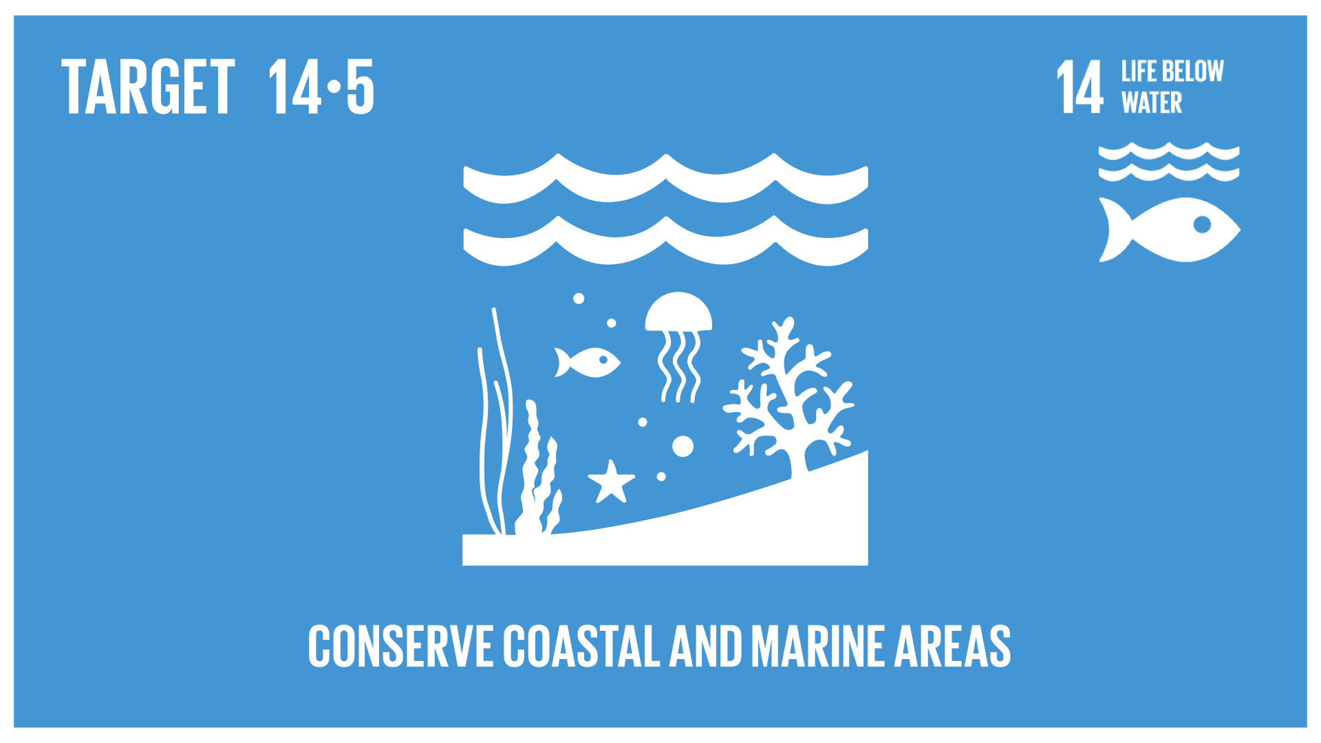 Graphic displaying the conservation of coastal and marine areas