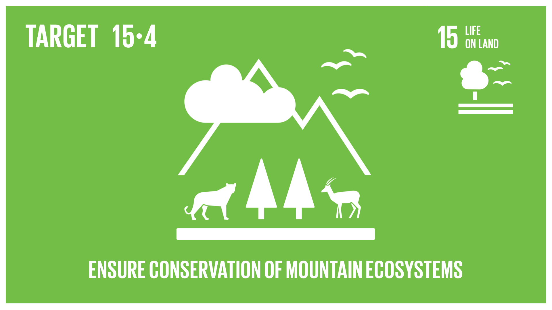 Graphic displaying the conservation of mountain ecosystems 