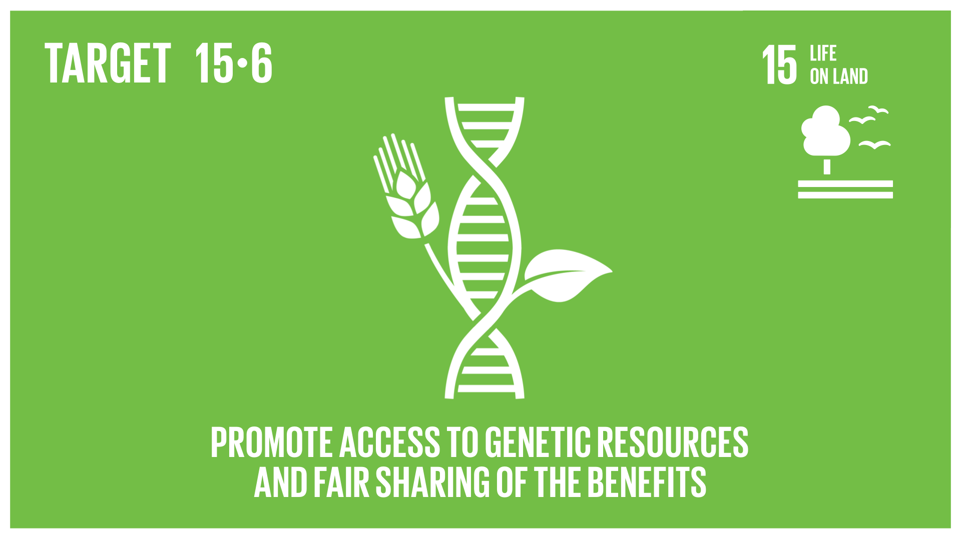 Graphic displaying the promotion of access to genetic resources and fair sharing of the benefits 