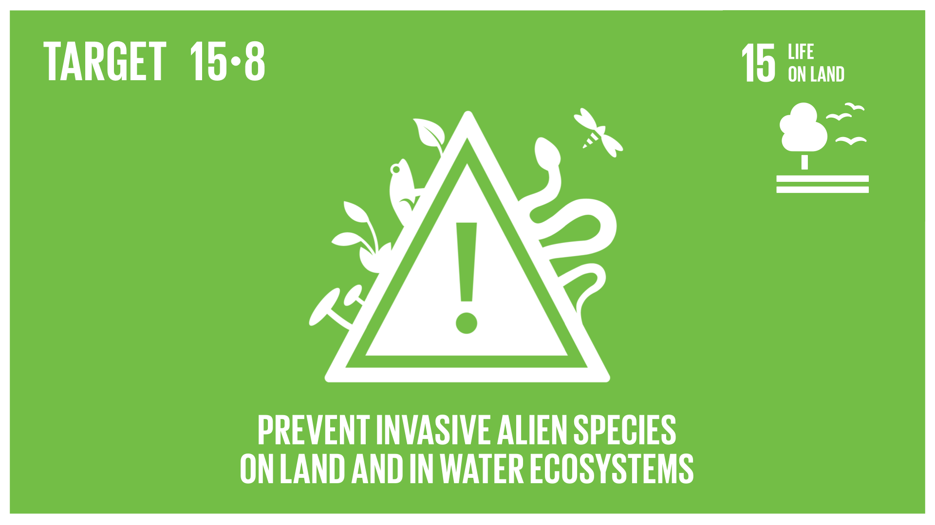 Graphic displaying preventing invasive alien species on land and in water ecosystems 