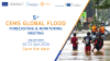 5th Global Flood Forecasting and Monitoring Meeting flyer
